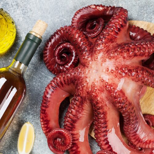 FOTOS WEB OSOJIMIX (6)