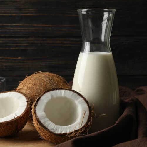 FOTOS WEB OSOJIMIX (5)