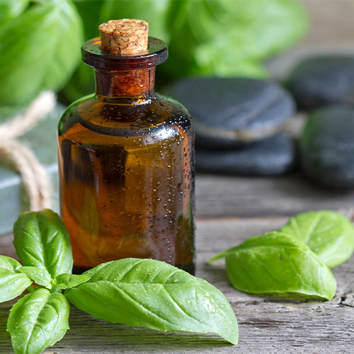 Aceite-de-albahacaPágina