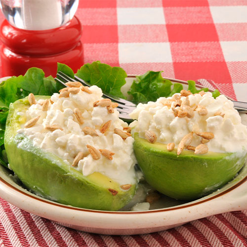 Palta-reina-Página