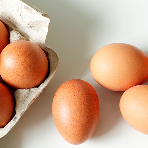 Pasteurizar-huevos-Página