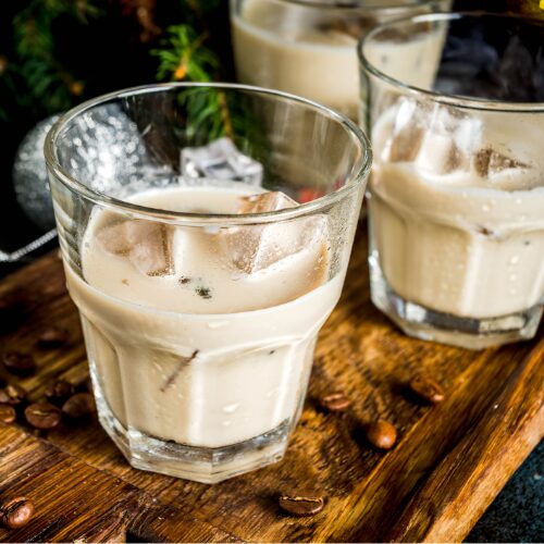 FOTOS WEB OSOJIMIX (5)