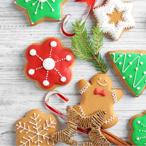 FOTOS WEB OSOJIMIX (7)