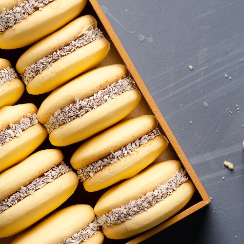 FOTOS WEB OSOJIMIX (8)